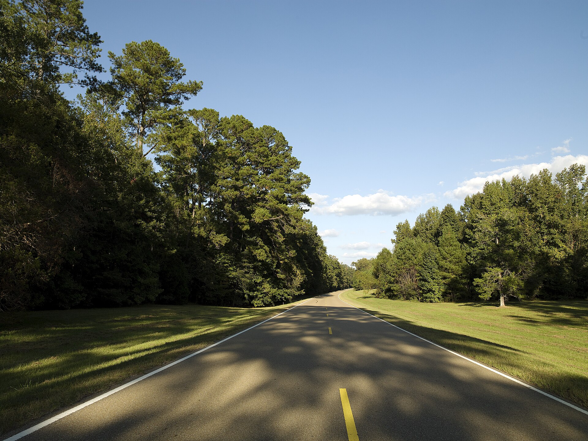 Tree-lined road on the Natchez Trace Parkway